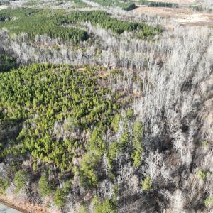 Photo #8 of  Off Green Level Rd, Scottsburg, VA 185.4 acres