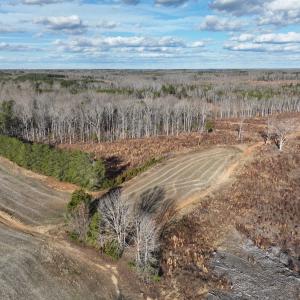 Photo #9 of  Off Green Level Rd, Scottsburg, VA 185.4 acres