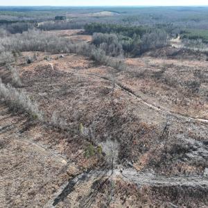 Photo #27 of  Off Green Level Rd, Scottsburg, VA 185.4 acres