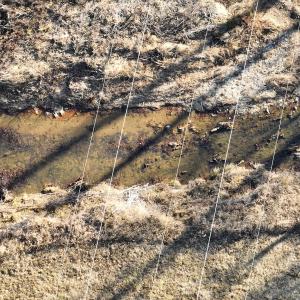 Photo #48 of  Off Green Level Rd, Scottsburg, VA 185.4 acres