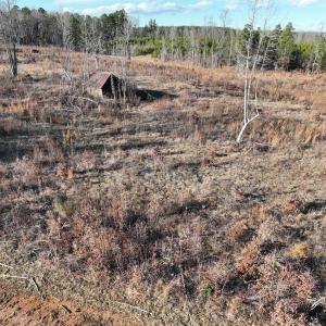 Photo #61 of  Off Green Level Rd, Scottsburg, VA 185.4 acres