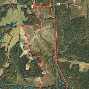 Photo #66 of  Off Green Level Rd, Scottsburg, VA 185.4 acres