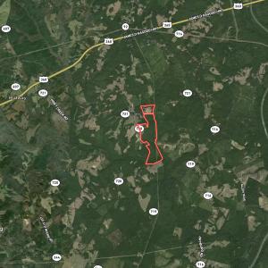 Photo #67 of  Off Green Level Rd, Scottsburg, VA 185.4 acres