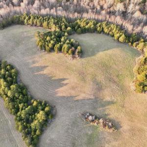 Photo #12 of 2743 Johnson School Road, Thaxton, VA 154.6 acres
