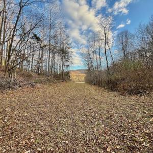Photo #13 of 2743 Johnson School Road, Thaxton, VA 154.6 acres