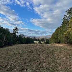 Photo #15 of 2743 Johnson School Road, Thaxton, VA 154.6 acres