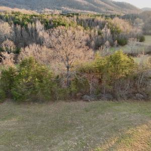 Photo #17 of 2743 Johnson School Road, Thaxton, VA 154.6 acres