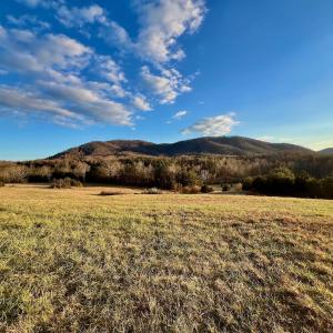 Photo #18 of 2743 Johnson School Road, Thaxton, VA 154.6 acres