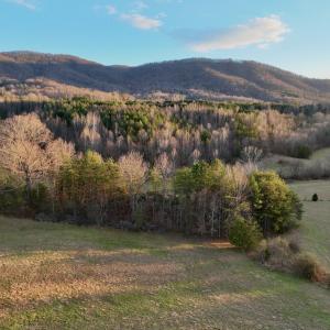 Photo #3 of 2743 Johnson School Road, Thaxton, VA 154.6 acres