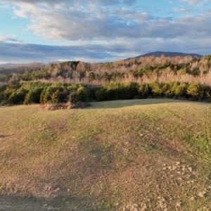 Photo #4 of 2743 Johnson School Road, Thaxton, VA 154.6 acres