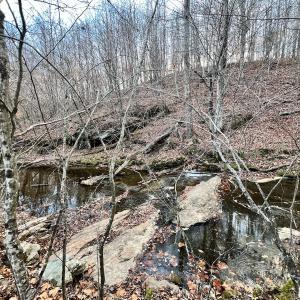 Photo #7 of 2743 Johnson School Road, Thaxton, VA 154.6 acres