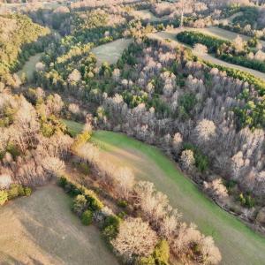 Photo #8 of 2743 Johnson School Road, Thaxton, VA 154.6 acres