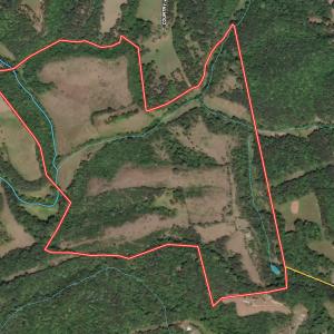 Photo #86 of 2743 Johnson School Road, Thaxton, VA 154.6 acres