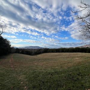 Photo #28 of 2743 Johnson School Road, Thaxton, VA 154.6 acres