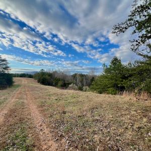 Photo #31 of 2743 Johnson School Road, Thaxton, VA 154.6 acres
