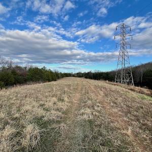 Photo #32 of 2743 Johnson School Road, Thaxton, VA 154.6 acres