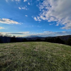 Photo #34 of 2743 Johnson School Road, Thaxton, VA 154.6 acres