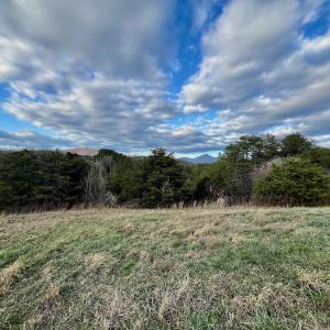 Photo #37 of 2743 Johnson School Road, Thaxton, VA 154.6 acres