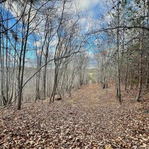 Photo #39 of 2743 Johnson School Road, Thaxton, VA 154.6 acres