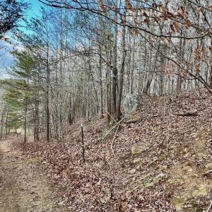 Photo #40 of 2743 Johnson School Road, Thaxton, VA 154.6 acres