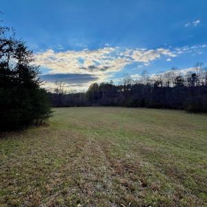 Photo #42 of 2743 Johnson School Road, Thaxton, VA 154.6 acres