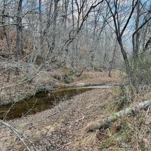 Photo #43 of 2743 Johnson School Road, Thaxton, VA 154.6 acres