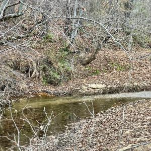 Photo #44 of 2743 Johnson School Road, Thaxton, VA 154.6 acres