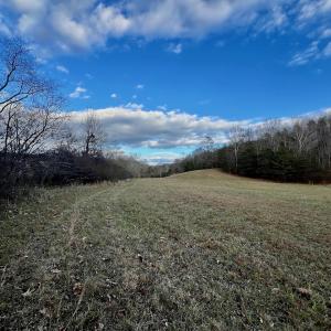 Photo #45 of 2743 Johnson School Road, Thaxton, VA 154.6 acres