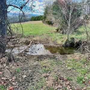 Photo #46 of 2743 Johnson School Road, Thaxton, VA 154.6 acres