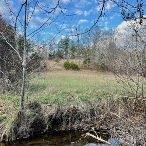 Photo #47 of 2743 Johnson School Road, Thaxton, VA 154.6 acres