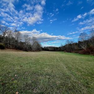 Photo #48 of 2743 Johnson School Road, Thaxton, VA 154.6 acres