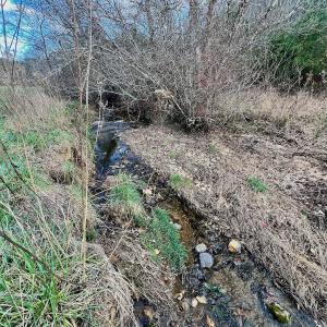 Photo #49 of 2743 Johnson School Road, Thaxton, VA 154.6 acres