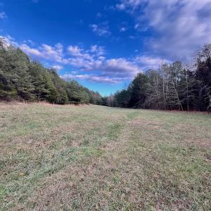 Photo #50 of 2743 Johnson School Road, Thaxton, VA 154.6 acres