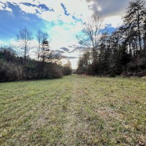 Photo #52 of 2743 Johnson School Road, Thaxton, VA 154.6 acres
