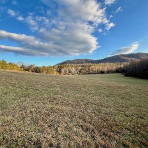 Photo #54 of 2743 Johnson School Road, Thaxton, VA 154.6 acres