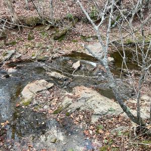 Photo #55 of 2743 Johnson School Road, Thaxton, VA 154.6 acres