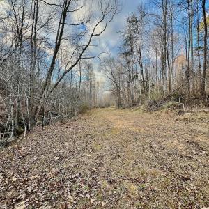 Photo #56 of 2743 Johnson School Road, Thaxton, VA 154.6 acres