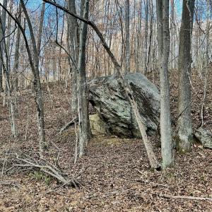 Photo #57 of 2743 Johnson School Road, Thaxton, VA 154.6 acres
