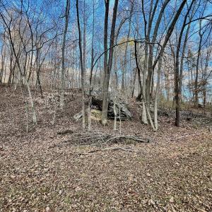 Photo #58 of 2743 Johnson School Road, Thaxton, VA 154.6 acres
