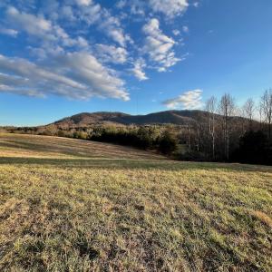 Photo #59 of 2743 Johnson School Road, Thaxton, VA 154.6 acres
