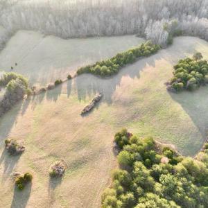 Photo #61 of 2743 Johnson School Road, Thaxton, VA 154.6 acres