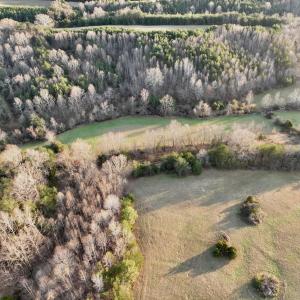 Photo #62 of 2743 Johnson School Road, Thaxton, VA 154.6 acres