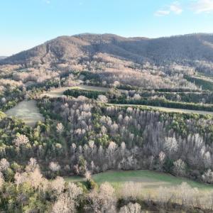 Photo #63 of 2743 Johnson School Road, Thaxton, VA 154.6 acres