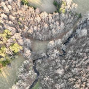 Photo #64 of 2743 Johnson School Road, Thaxton, VA 154.6 acres