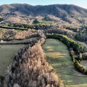 Photo #66 of 2743 Johnson School Road, Thaxton, VA 154.6 acres