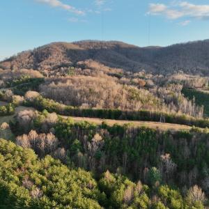 Photo #75 of 2743 Johnson School Road, Thaxton, VA 154.6 acres