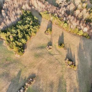 Photo #76 of 2743 Johnson School Road, Thaxton, VA 154.6 acres