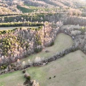Photo #77 of 2743 Johnson School Road, Thaxton, VA 154.6 acres