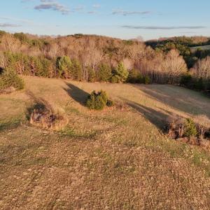 Photo #78 of 2743 Johnson School Road, Thaxton, VA 154.6 acres