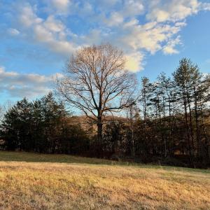Photo #79 of 2743 Johnson School Road, Thaxton, VA 154.6 acres